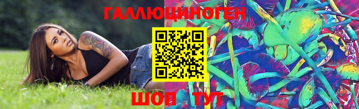 Псилоцибиновые грибы мухоморы Новозыбков