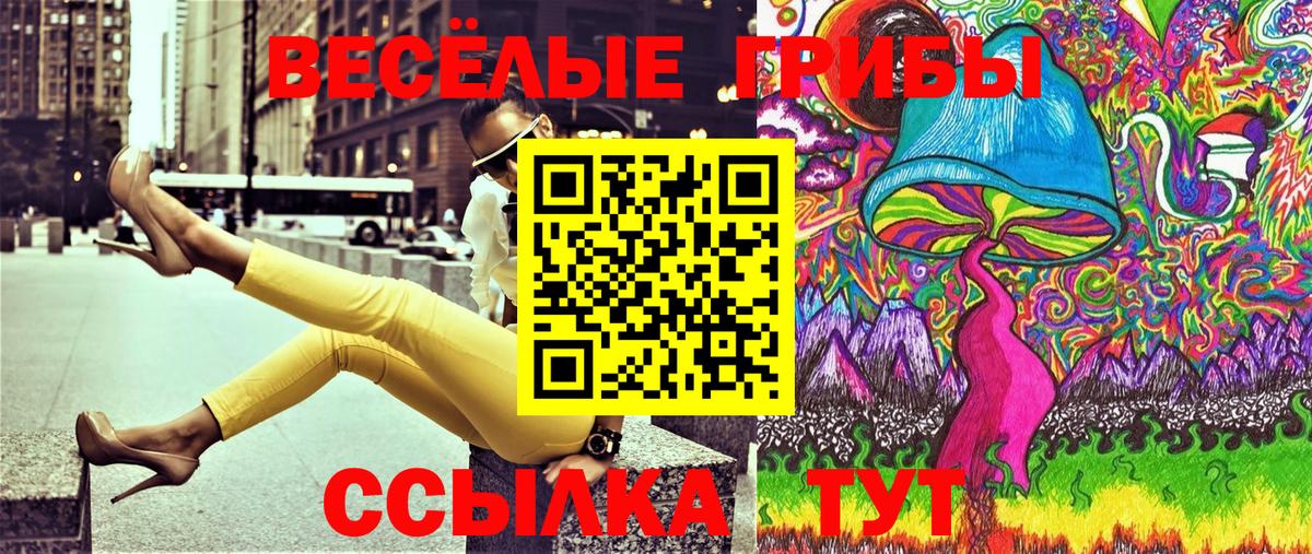 наркотики  Галлюциногенные грибы Psilocybine cubensis  Галлюциногенные грибы мицелий  Вход с VPN  Новозыбков 