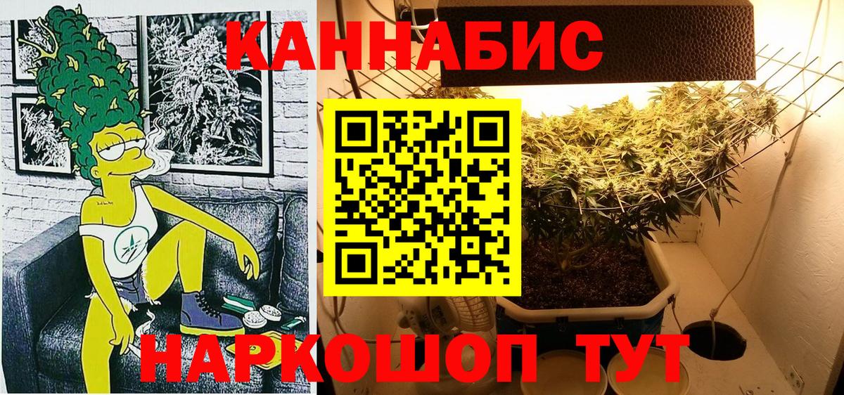Марихуана White Widow  Каннабис сатива  Канабис ГИДРОПОН  Вход с VPN  Новозыбков  МАРИХУАНА сатива 